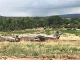  County Road 571` - Photo 4