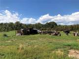  County Road 571` - Photo 7