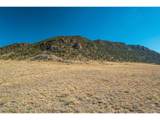 1354 Puma Hills Rd - Photo 47