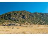 1354 Puma Hills Rd - Photo 48