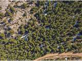 33131 Lynx Ln - Photo 5