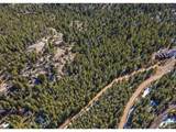 33131 Lynx Ln - Photo 6
