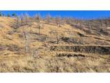 7741 Van Giesen Rd - Photo 15