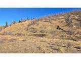 7741 Van Giesen Rd - Photo 16