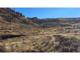 7741 Van Giesen Rd - Photo 19