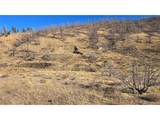 7741 Van Giesen Rd - Photo 5