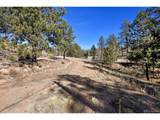 238 Chateau West Dr - Photo 13