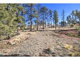 238 Chateau West Dr - Photo 4