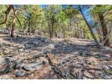  Elsie Rd - Photo 10