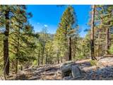  Elsie Rd - Photo 14