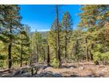  Elsie Rd - Photo 15