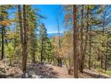  Elsie Rd - Photo 16