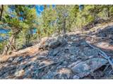  Elsie Rd - Photo 18