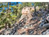  Elsie Rd - Photo 19