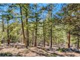  Elsie Rd - Photo 22