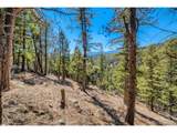  Elsie Rd - Photo 8