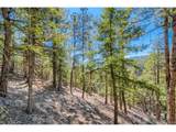  Elsie Rd - Photo 9