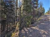 3067 Forbes Park Loop - Photo 12