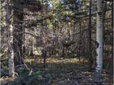 3067 Forbes Park Loop - Photo 5