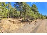 27551 Molly Dr - Photo 12
