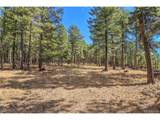 27551 Molly Dr - Photo 13