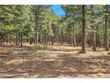 27551 Molly Dr - Photo 14