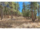 27551 Molly Dr - Photo 15