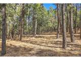 27551 Molly Dr - Photo 16