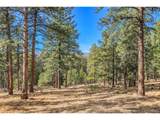 27551 Molly Dr - Photo 18