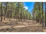 27551 Molly Dr - Photo 19