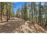 27551 Molly Dr - Photo 20