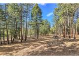 27551 Molly Dr - Photo 21