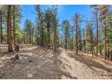 27551 Molly Dr - Photo 22