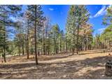 27551 Molly Dr - Photo 23