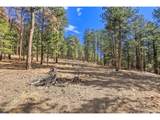 27551 Molly Dr - Photo 24