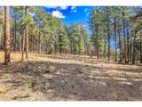 27551 Molly Dr - Photo 25