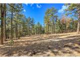27551 Molly Dr - Photo 26
