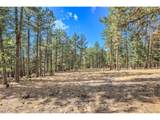 27551 Molly Dr - Photo 27
