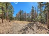 27551 Molly Dr - Photo 28