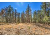 27551 Molly Dr - Photo 29