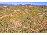 27551 Molly Dr - Photo 30