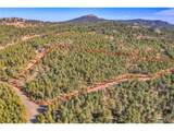 27551 Molly Dr - Photo 31