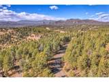 27551 Molly Dr - Photo 36