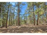 27551 Molly Dr - Photo 8
