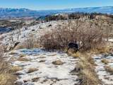 1725 35 1/10 Rd - Photo 33