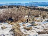 1725 35 1/10 Rd - Photo 34