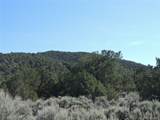 7563 Dolder Rd - Photo 14