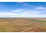 14500 County Road 137 - Photo 3