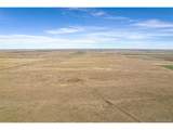 14500 County Road 137 - Photo 6