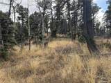 310 Morley Pl - Photo 13